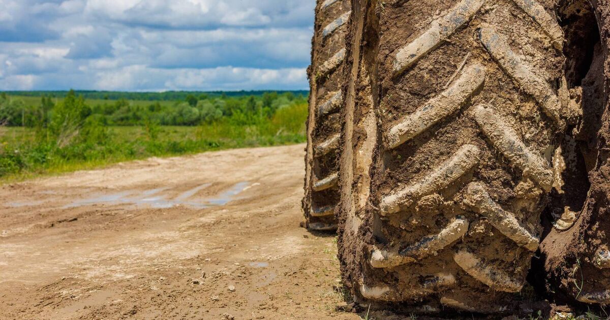 A wealth of weather lore around month of March