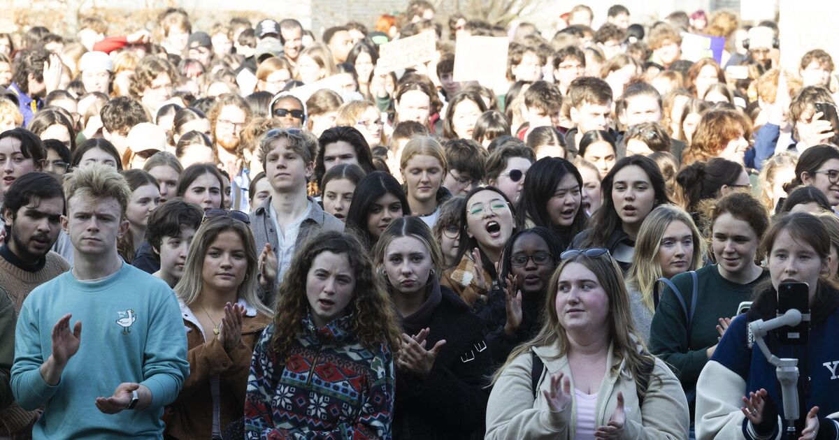 'I was just a young student who wanted to do a medical degree': UCD student's life shattered by abuse images