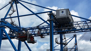 <p>The globalised Industry sector expanded by over 29% in 2025. Picture: Larry Cummins</p>