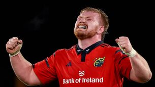 <p>Munster's Ronan Foxe celebrates. Pic: Ben Brady/Inpho</p>