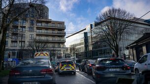 <p> We protect car culture in our towns and cities even when lives are being taken or destroyed because of it. Picture: Chani Anderson</p>