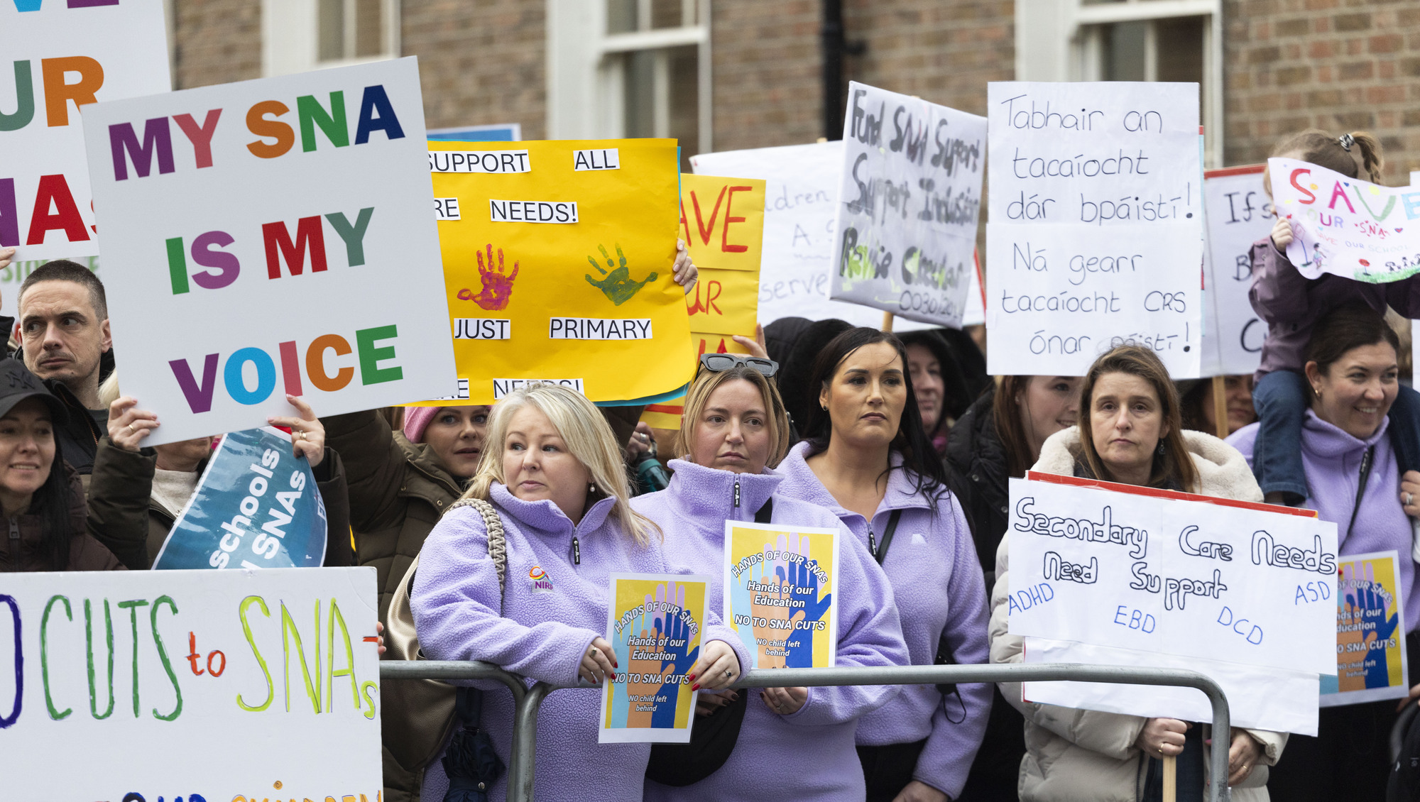NCSE chief apologises for handling of 'botched' SNA review