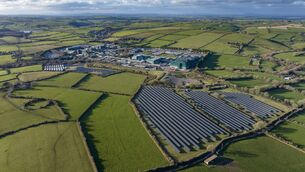 <p>Eli Lilly and its plant in Kinsale dominate production of key ingredients for GLP-1 type drugs.</p>