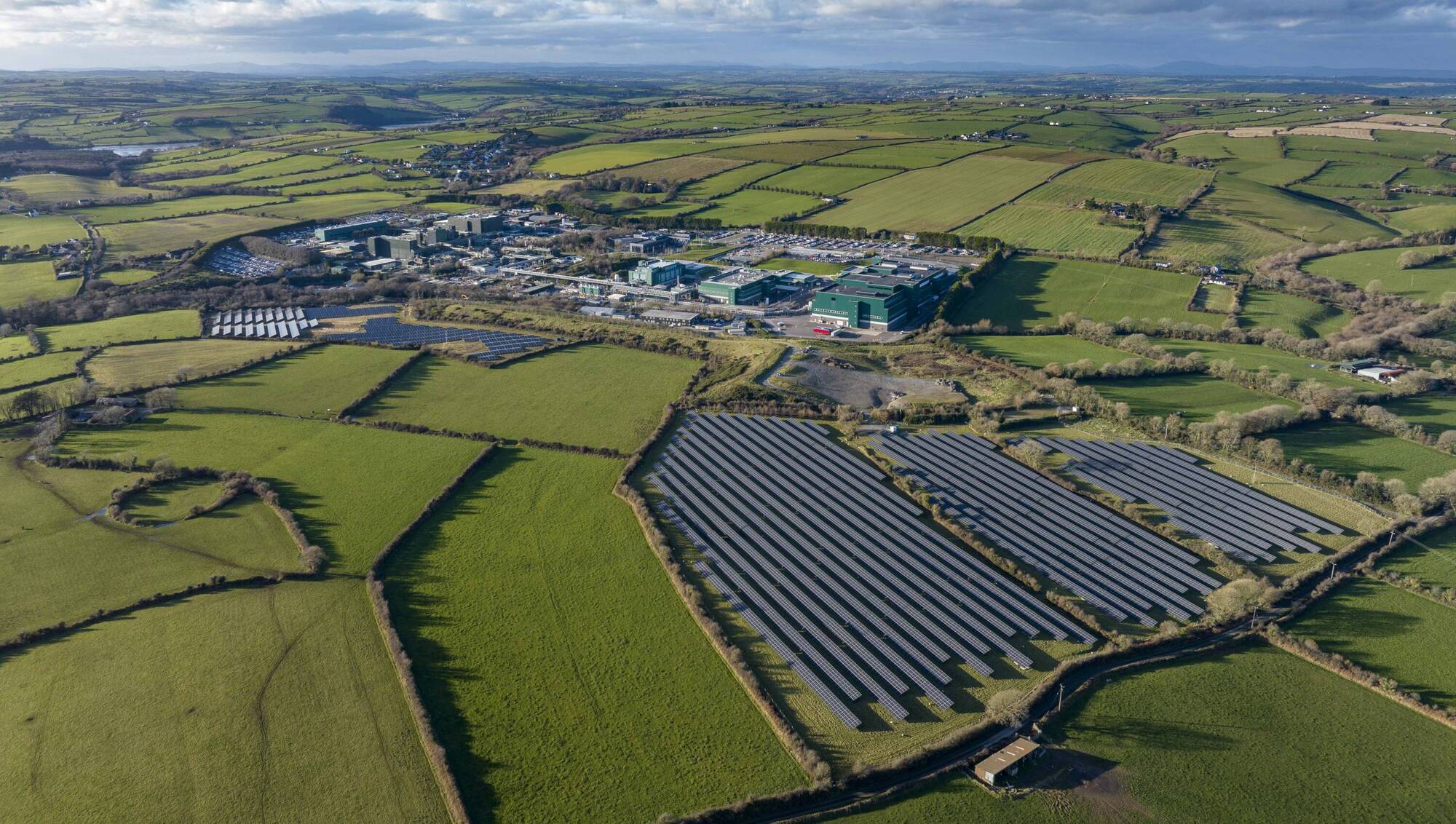 Eli Lilly and its plant in Kinsale dominate production of key ingredients for GLP-1 type drugs.