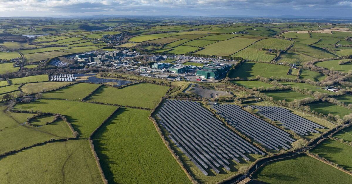 Alan Healy: Ireland goes all-in on weight-loss drugs