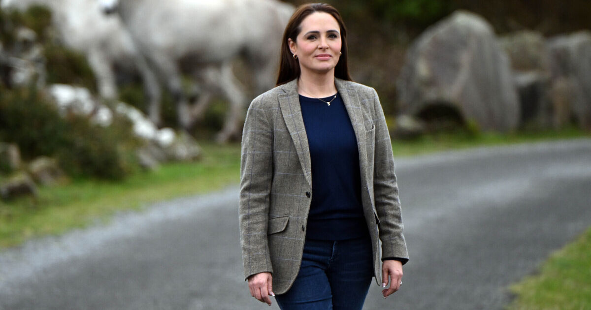 University of Galway to conduct survey about online abuse of female academics