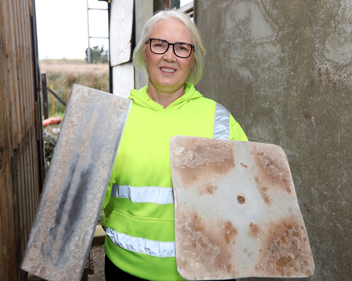 Patricia Brouder, Plasterer, from Carrikerry County Limerick Picture: Brendan Gleeson