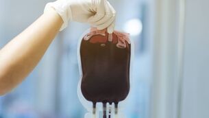 <p>Her gynaecologist was of the view that the transfusion would only be used as a last resort when all other possible treatments were excluded. Stock picture</p>