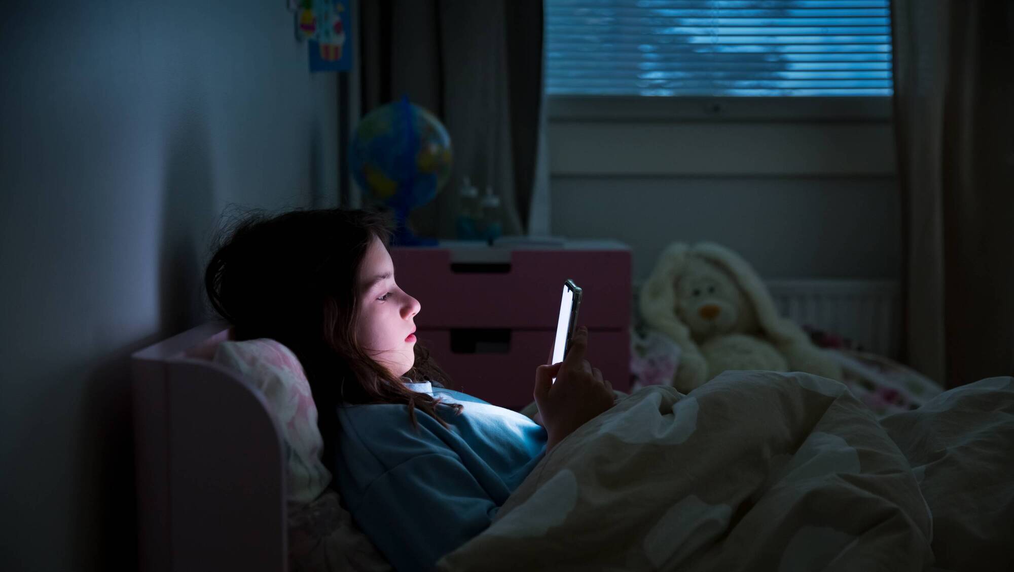 'Every day a dozen principals call us about the harm of social media on schoolchildren'