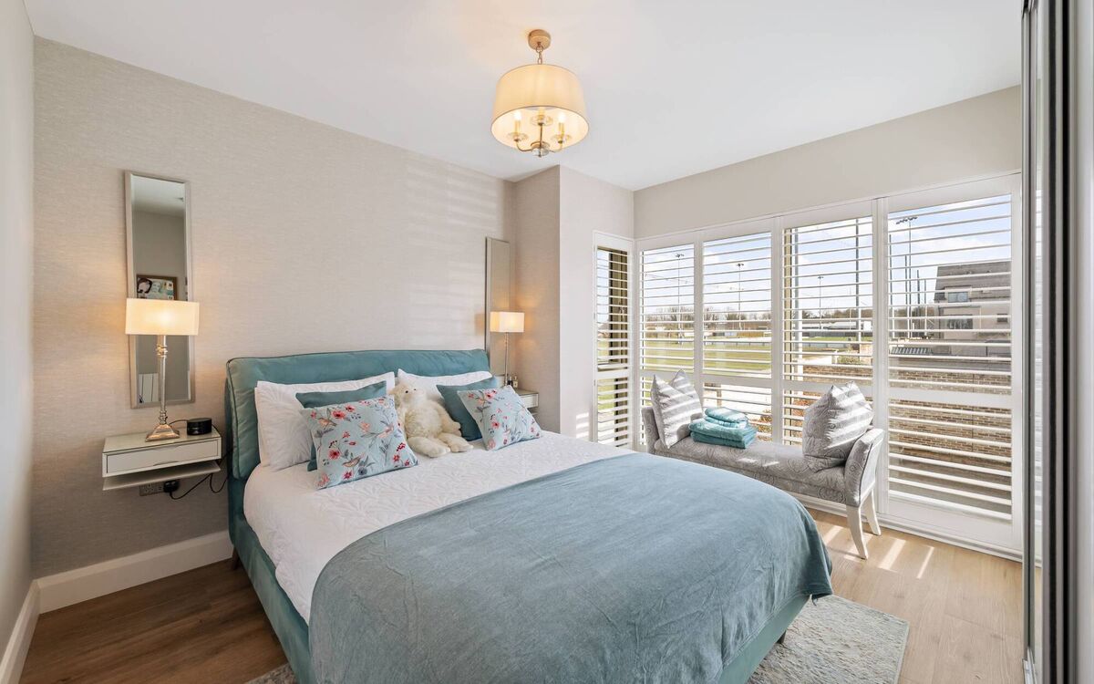 Ringside seat to the rugby