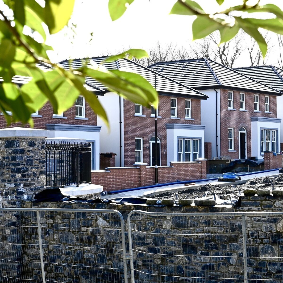 irishexaminer.com - Catherine Shanahan Pictures: Larry Cummins - Hermitage Farm set to be next top model estate on Model Farm Road