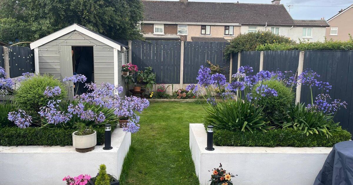 No need for AI to enhance the garden at this €450k Church Road home