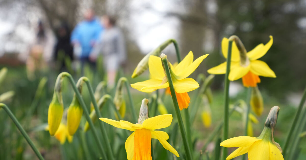 Ireland’s Seasonal Identity Crisis