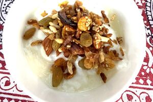 Ahilya Fort Homemade Meusli