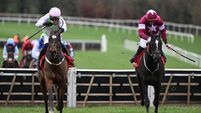 Manoir De Mirande can give Gordon Elliott timely pre-Cheltenham lift