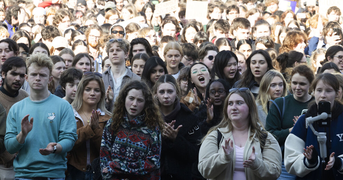 Medical Council urged to take 'appropriate' action amid 'violent image' UCD backlash