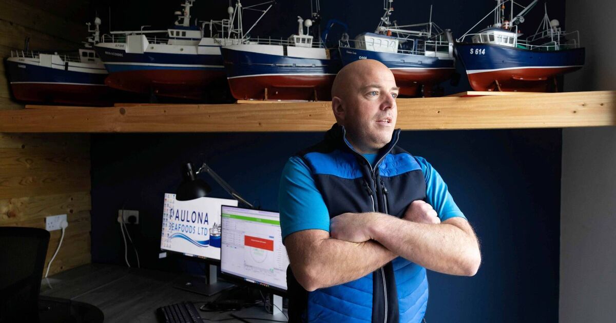 Online seafood auction house could lead to 'hundreds' of jobs