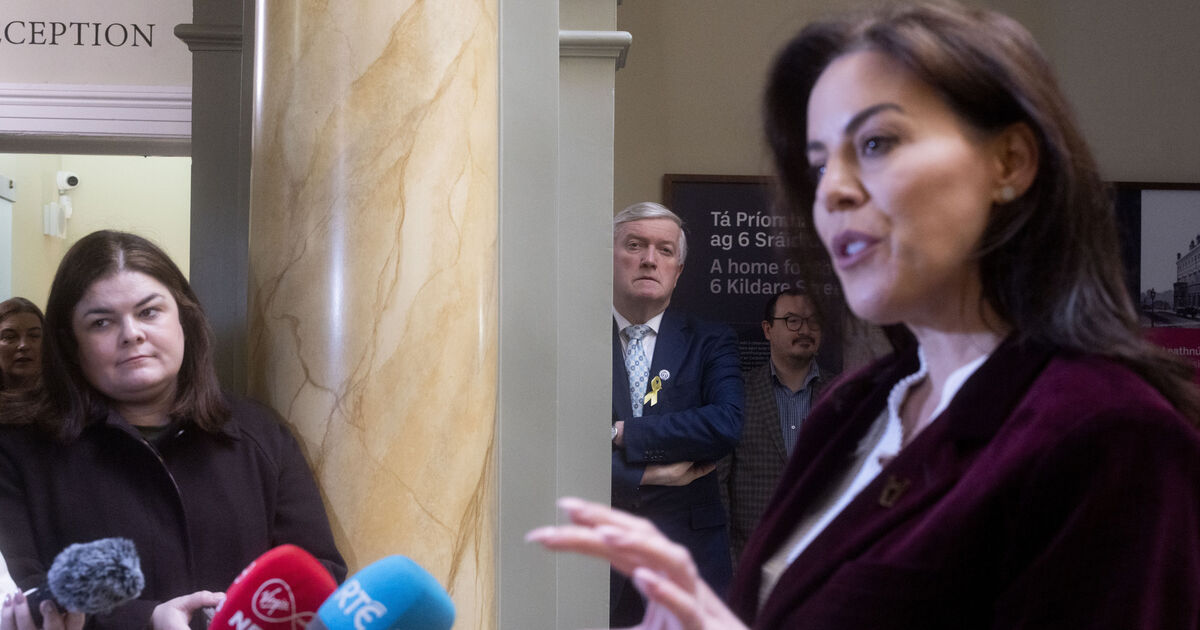 'More needs to be done' for endometriosis patients, says health minister