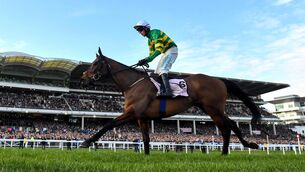 <p>Gavin Cromwell's Inothewayurthinkin, the defending champion, and Jimmy Mangan's Spillane's Tower will lead JP McManus' challenge in the Cheltenham Gold Cup. Pic: David Fitzgerald/Sportsfile</p>