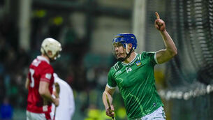 <p>NETBUSTER: Shane O'Brien of Limerick celebrates his goal. Pic: ©INPHO/James Lawlor</p>