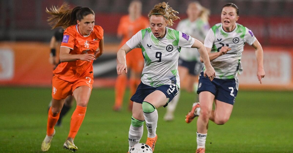 More late disappointment for Ireland against Dutch but key tests await