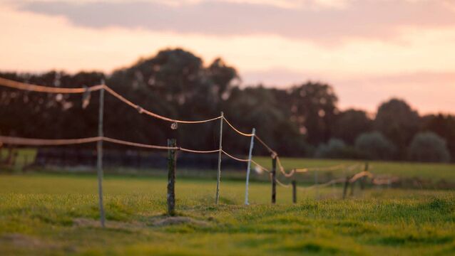 <p>Are high-speed geared fence reels and temporary posts sufficiently available to allow for easier grassland management? </p>