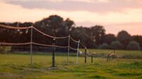 Electric fence on farm land at sunset.