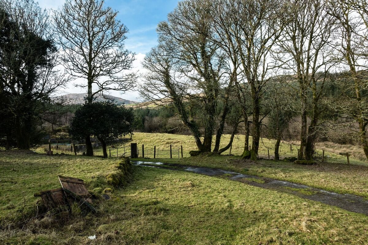 Some of the lands near the house and yard on the 331-acre farm, Derryriordane, Inchigeela.