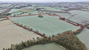 <p>The 30-acre holding at Cleragh, Killenaule, for April auction.</p>