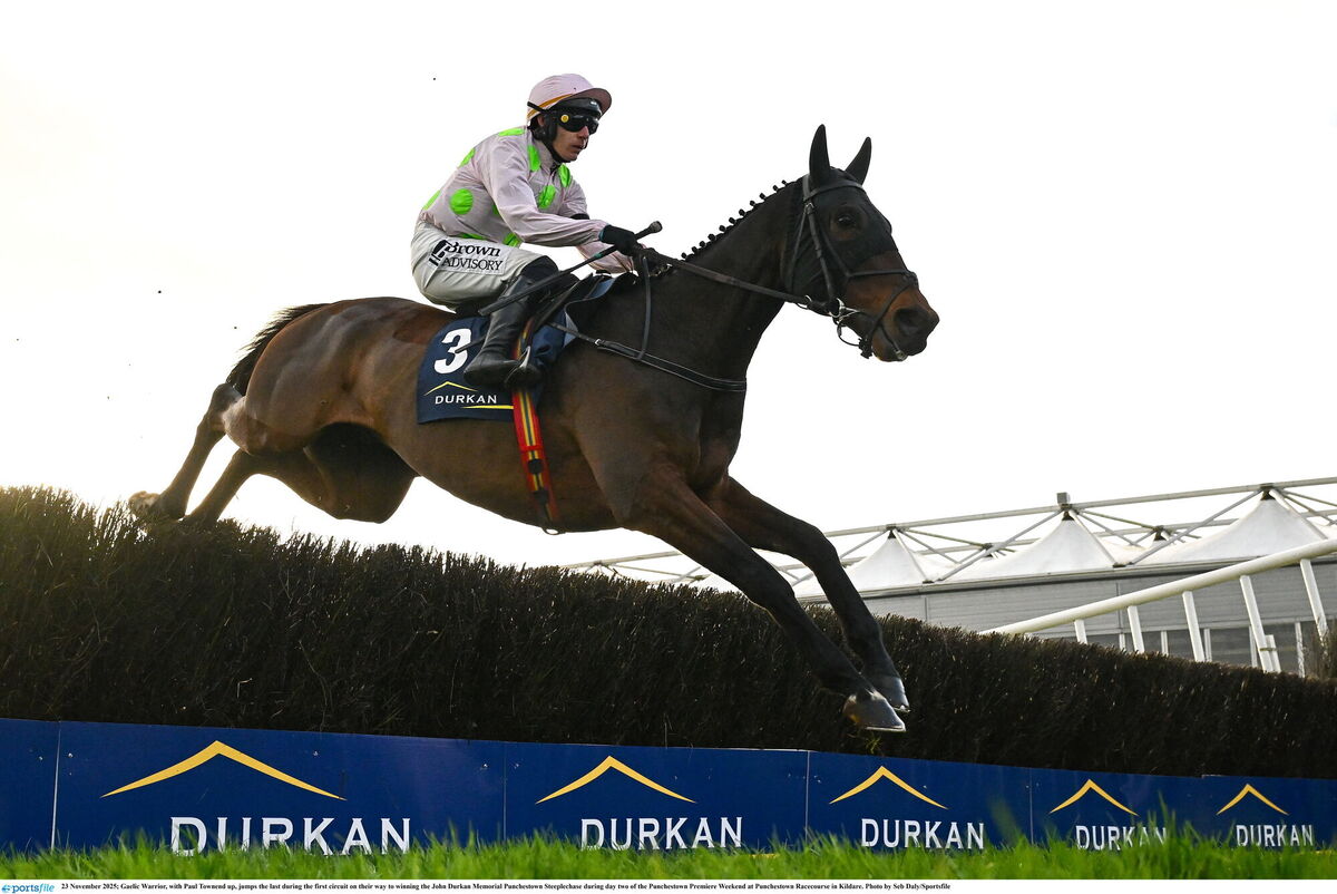 TALENT: There's no doubt that Gaelic Warrior has the raw ability to win the Gold Cup. Pic: Seb Daly/Sportsfile