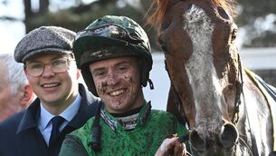 <p>Exciting five-year-old Talk The Talk goes for Joseph O'Brien in the Supreme Novices' Hurdle. Pic: Healy Racing</p>