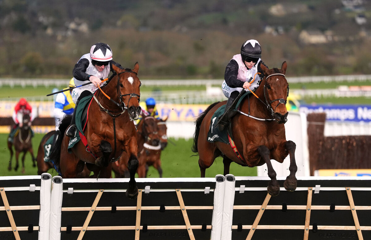 Bob Olinger (right) is De Bromhead's best hope at Cheltenham. Pic: Adam Davy/PA