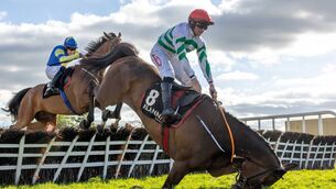 <p>Up and at it: The Yellow Clay tumbles at the 2025 Punchestown Racing Festival but has been given plenty of time to recover. Pic: Morgan Treacy, Inpho</p>