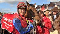 The 2013 Punchestown Festival - Thursday 25th April