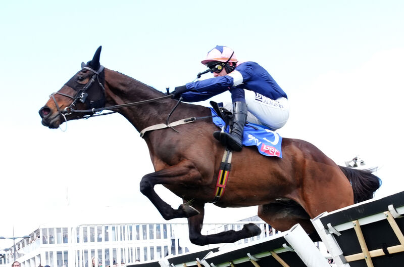 Kopek Des Bordes is ready for a Cheltenham battle. Pic: Adam Davy/PA