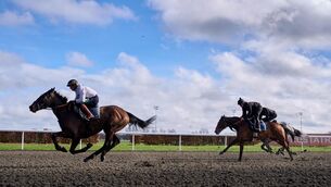 <p>When it comes to Cheltenham, there’s nothing quite as compelling as a Festival duel. Pic: Andrew Matthews/PA</p>