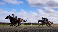 Cheltenham Festival Gallops Morning - Kempton Park Racecourse