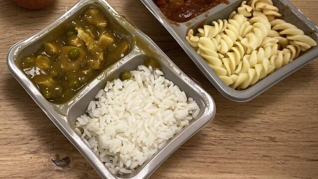 <p>A parent who complained about allergen information in school mails said a label on 'vegan sweet and sour with rice' noted that it contained eggs and 'may contain bone or bone fragments'. File picture</p>