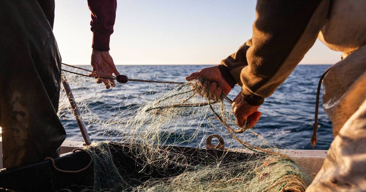 Decommissioning ‘one option to be looked at’ for fishing fleet