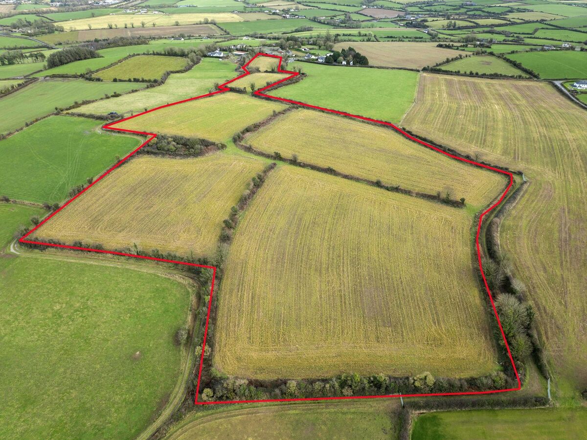 Lot 1 of the 40-acre farm. Lot 1 of the 40-acre farm.