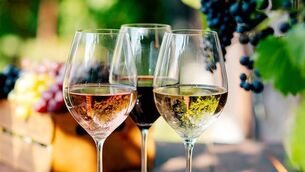 <p>The longer evenings and the bit of sunshine in recent weeks has lightened my mood considerably and sent me off in a different vinous direction.</p>