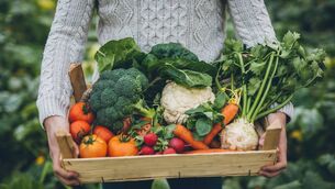 <p>'We have in the city loads of fantastic people who would love to grow food but they can’t.'</p>