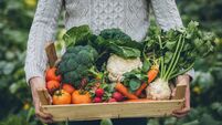 Young farmer with crate full of vegetables