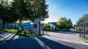 <p>Fiona O’Leary's son has autism, ADHD, and a moderate intellectual disability. Picture: Chani Anderson</p>