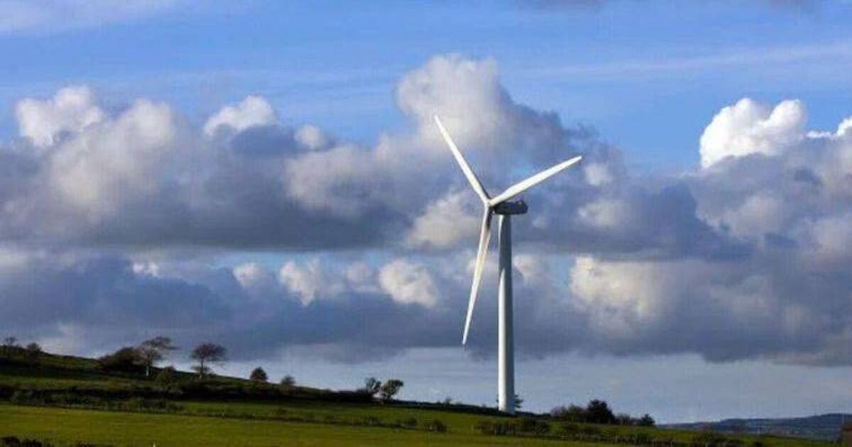 Government considers options to reduce shortfall in renewable energy targets 