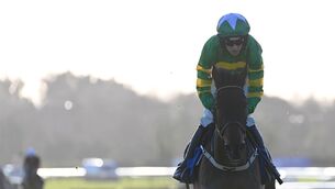 <p>Negotiating the hectic clutter of the Supreme Novices Hurdle will be a big ask for an inexperienced horse like Mighty Park who has only had one run in his life, but he is among the favourites. Pic: HEALY RACING</p>