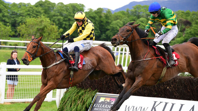 <p>REUSE AND RECYCLE: Paggane (left) won three times for Willie Mullins before joining trainer Faye Bramley, in line with her strategy of re-homing ‘recycle’ horses.	<span class="contextmenu emphasis CaptionCredit">Picture: Healy Racing</span>
            </p>
