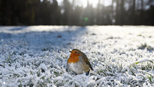 <p>It will turn colder with showers coming in from the west on Thursday night, with sleet or snow falling in places. File picture: Denis Minihane.</p>
