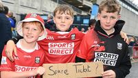 No public ticket sale for first three rounds of Munster senior hurling championship