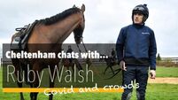 Ruby Walsh: If I knew then what I know now about Cheltenham